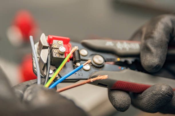 Best Electric Panel Repair  in Bee Ridge, FL