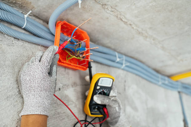 Best Electric Panel Repair  in Bee Ridge, FL